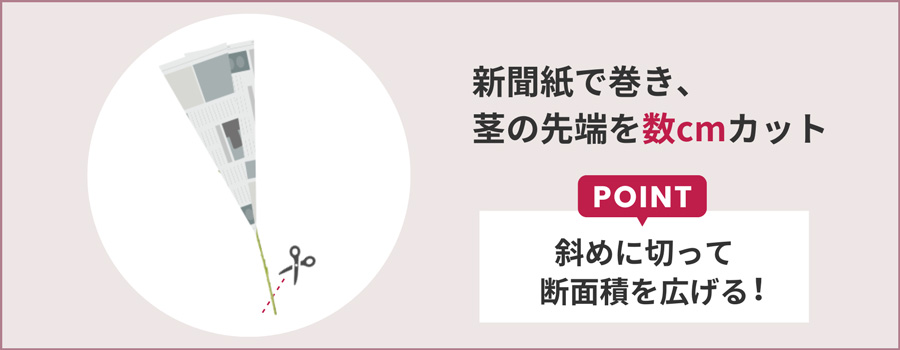 新聞紙で巻いて茎の先端を斜めにカット