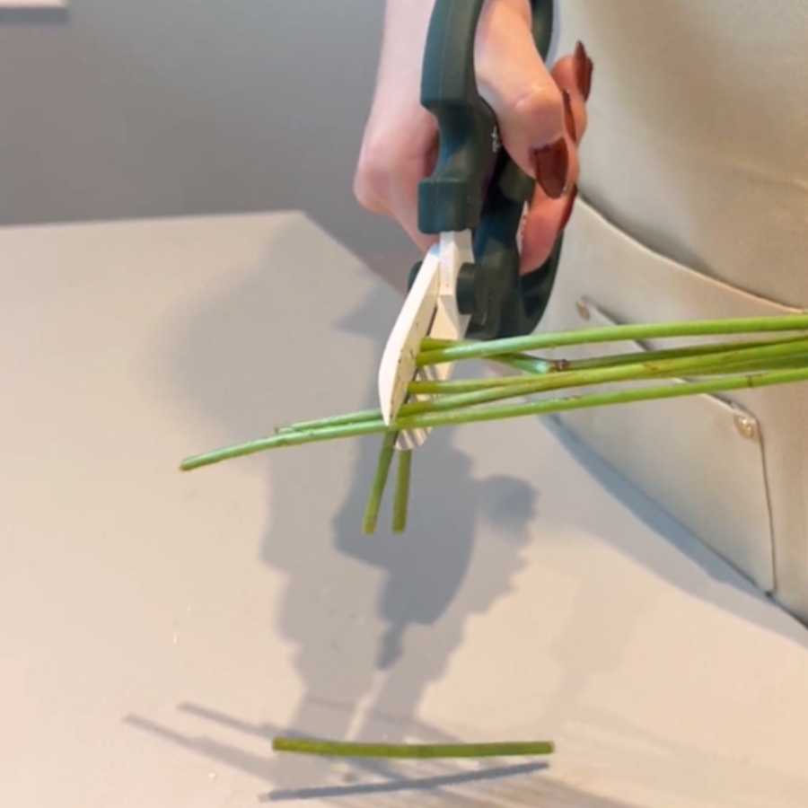 茎先を切り揃える