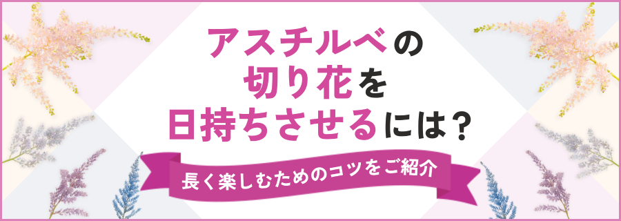 アスチルベの切り花を日持ちさせるには？長く楽しむためのコツをご紹介