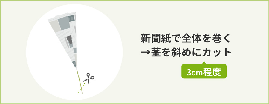 新聞紙で巻いて、茎を3cm程度カット