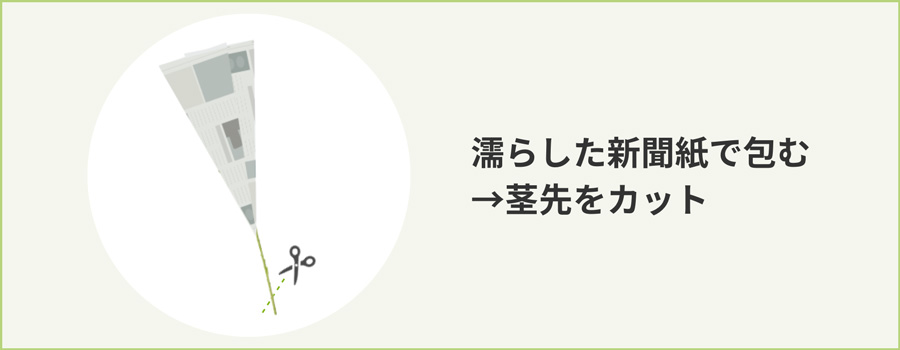 濡らした新聞紙で包んで茎の先端をカット