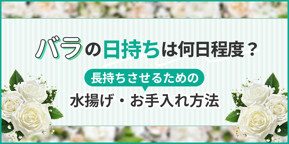 バラは何日くらい日持ちする？長持ちさせるコツを徹底解説！