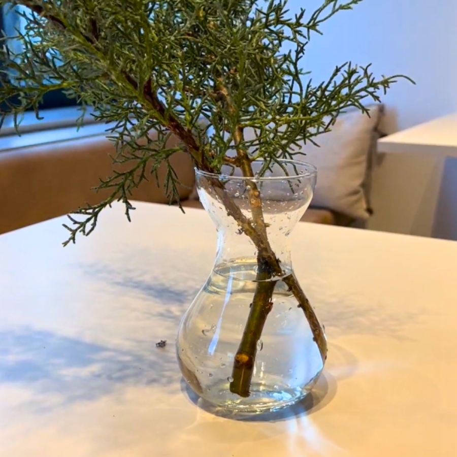 深めの水につける