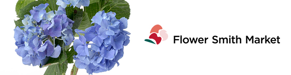 紫陽花