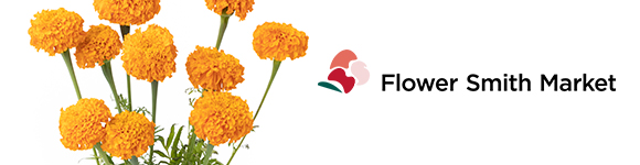 マリーゴールド