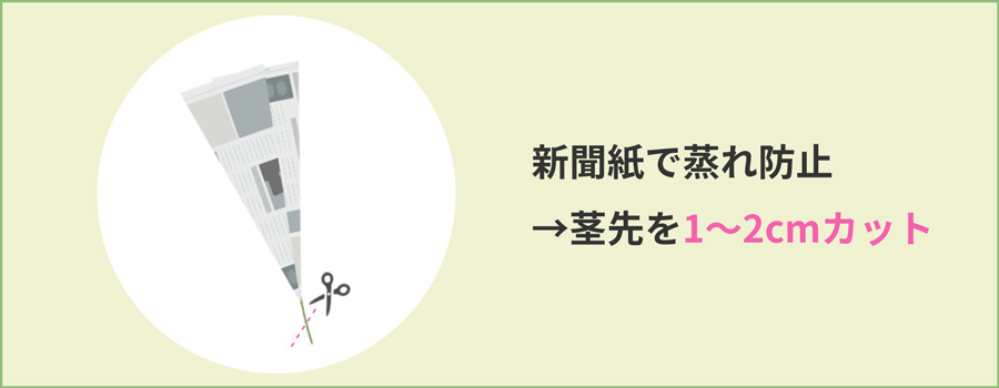 新聞紙で巻いて茎の先端をカット