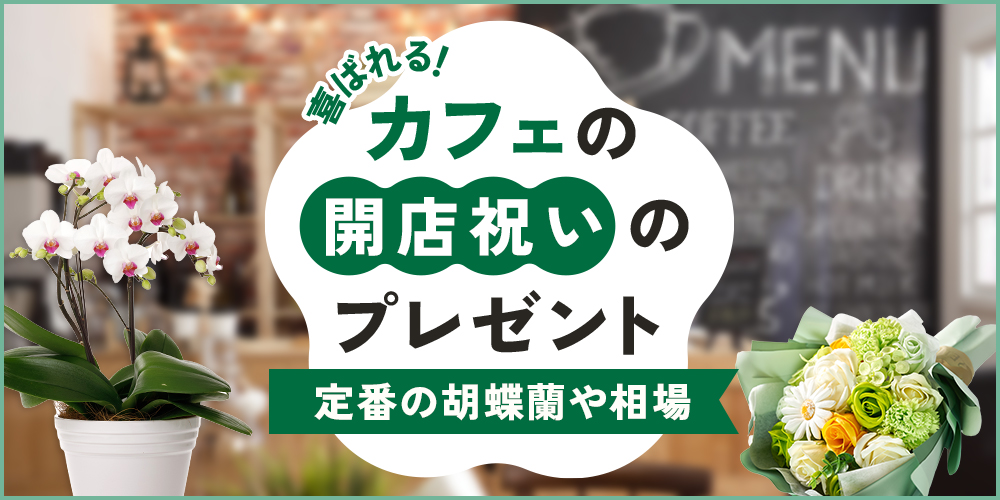 カフェの開店祝いに贈りたいおしゃれなギフトを紹介｜定番の胡蝶蘭や相場を徹底解説