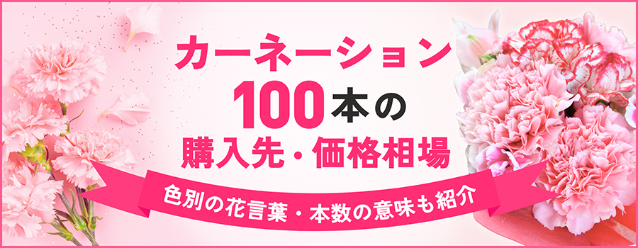 カーネーション100本の購入先・価格相場　色別の花言葉・本数の意味も紹介