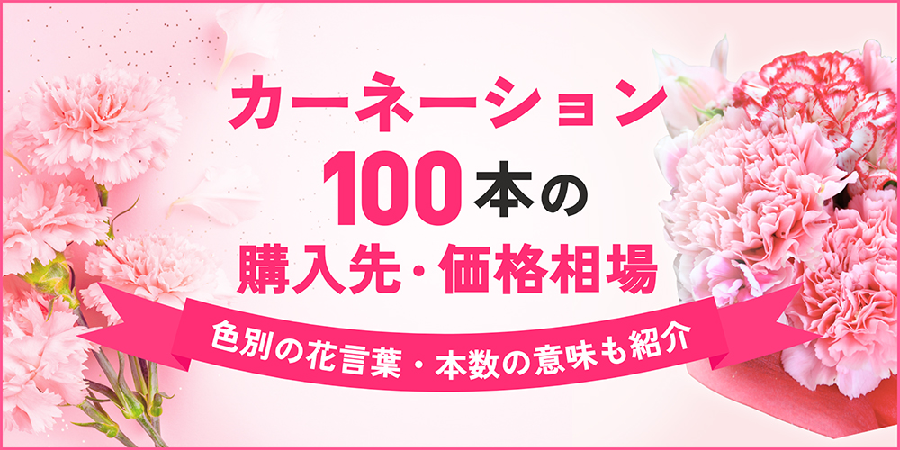カーネーション100本の価格相場と購入先｜色別・本数別の花言葉も紹介