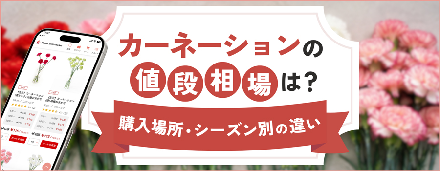 カーネーションの値段相場は？