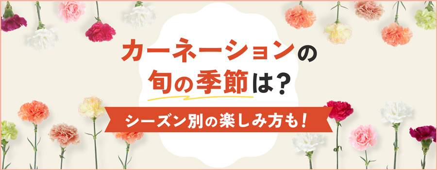 カーネーションの旬の季節は？