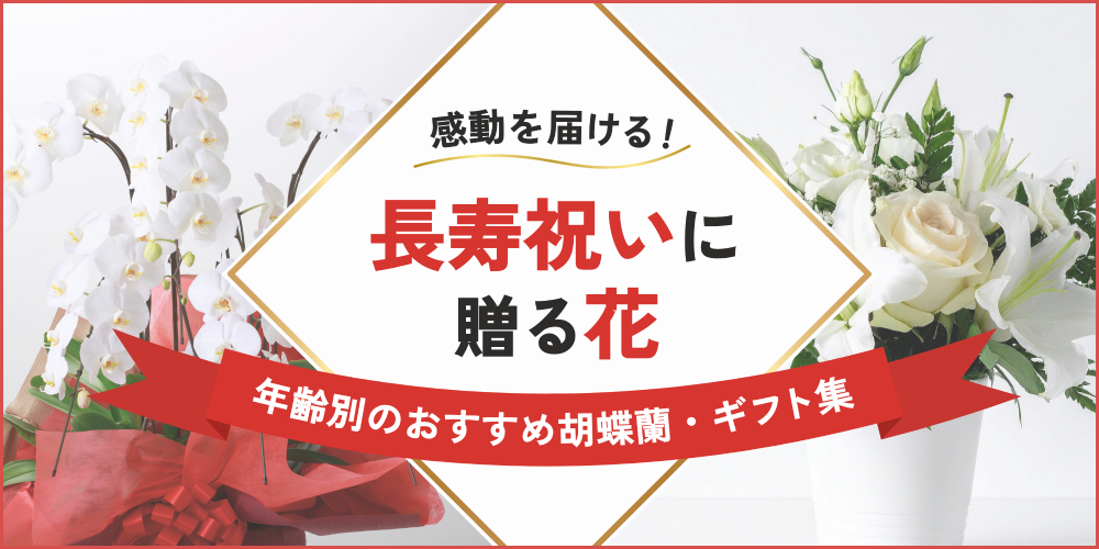 長寿祝いに花を贈るなら｜年齢別のおすすめ胡蝶蘭や予算・マナーを解説