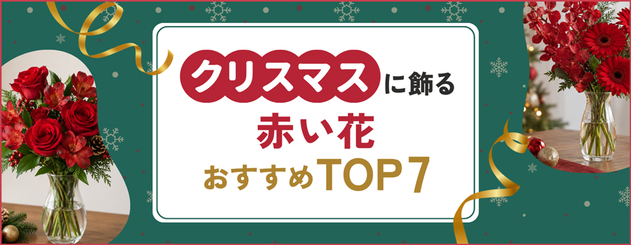 クリスマスに飾る赤い花おすすめTOP7