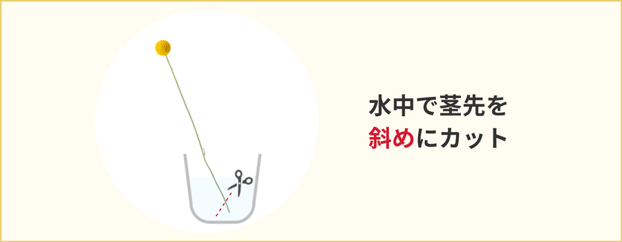 茎の先を斜めにカットする
