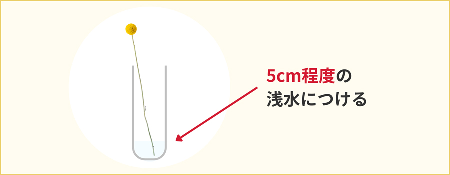 少なめの水に生ける