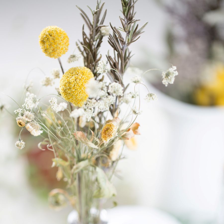 ドライフラワーにして飾る