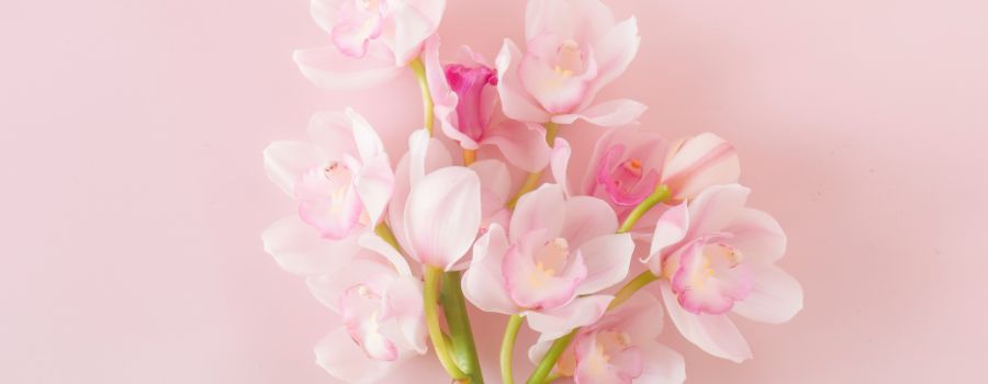 シンビジウムの切り花の日持ちはどれくらい？