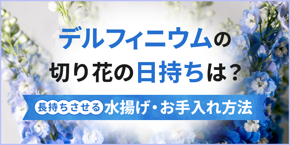 バラは何日くらい日持ちする？長持ちさせるコツを徹底解説！