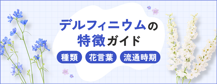 デルフィニウムの特徴ガイド