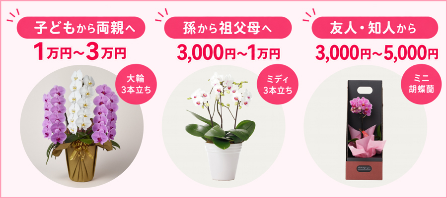 【関係性別】ダイヤモンド婚の花ギフトの予算相場