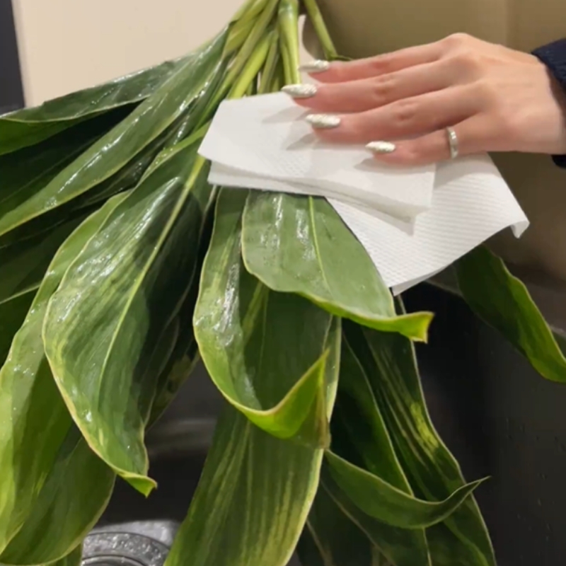 葉を振って水を落とし、キッチンペーパー等で残った水分を拭き取る