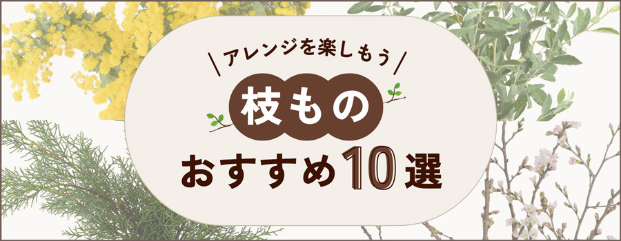 枝ものおすすめ10選