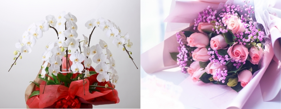 栄転祝いの贈り物を送別会で渡すなら？胡蝶蘭と花束の使い分け