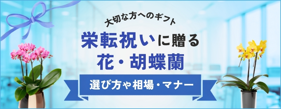 栄転祝いに贈る花　選び方や相場・マナー