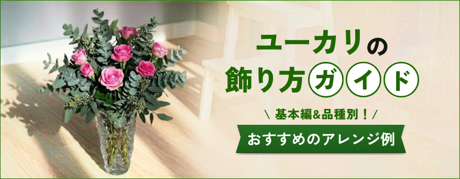 ユーカリの飾り方ガイド