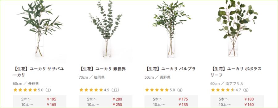ユーカリの値段が変わる4つの要因｜品種・長さ・季節・産地