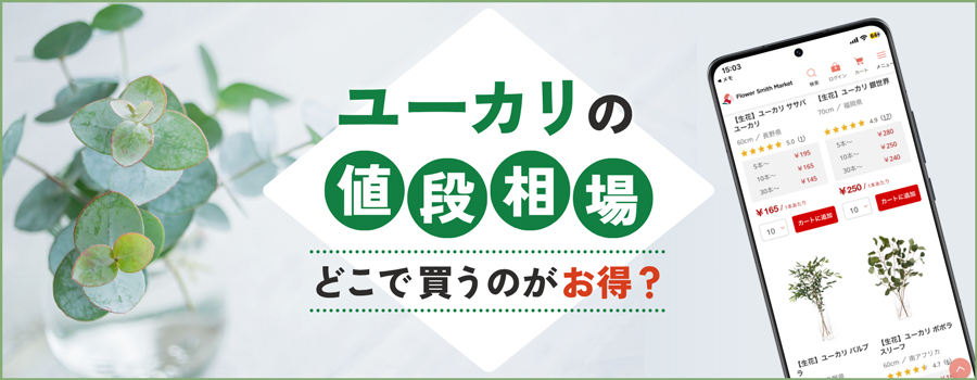 ユーカリの値段相場