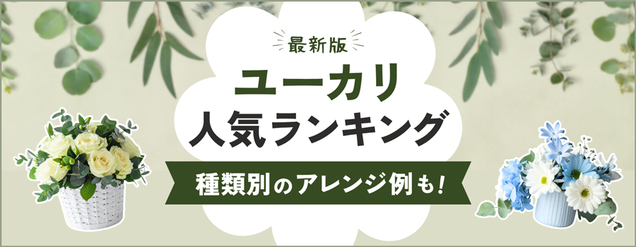 ユーカリ　人気ランキング