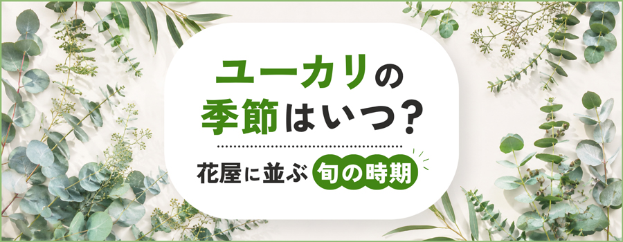 ユーカリの季節はいつ？