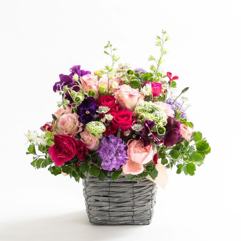 ラウンド（ドーム型）