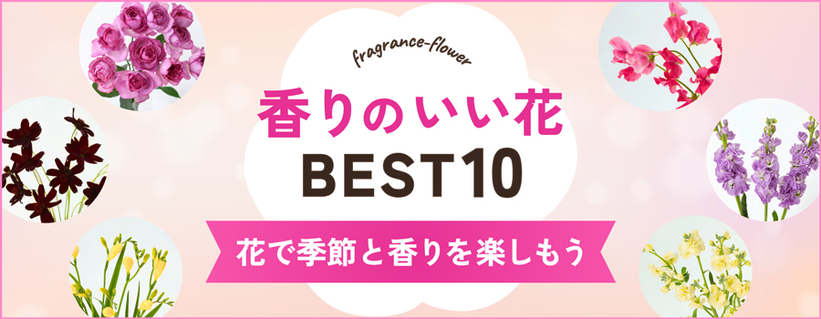 香りのいい花BEST10