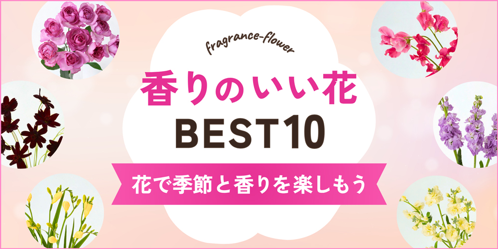 香りのいい花BEST10｜季節別ランキングや飾るマナーも解説