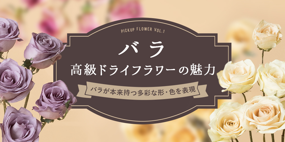 バラ」の高級ドライフラワー販売開始！生花のように多彩な形・華やかさ