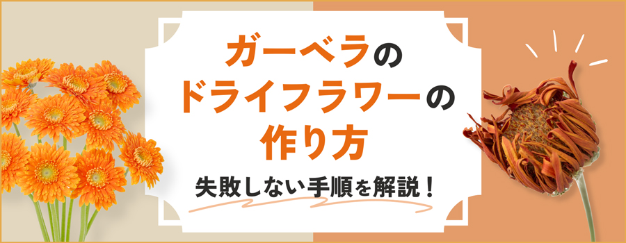 ガーベラのドライフラワーの作り方