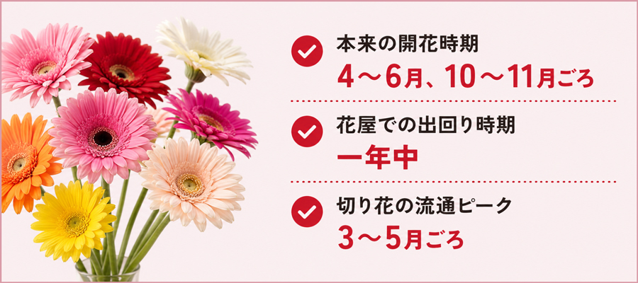 ガーベラの季節はいつ？