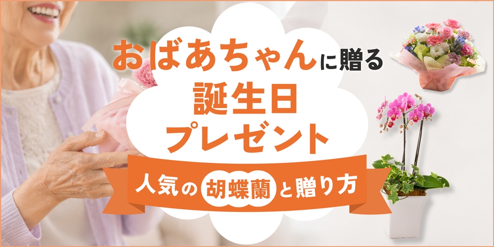 おばあちゃんの誕生日プレゼントに最適な花ギフト｜おすすめ胡蝶蘭と贈り方