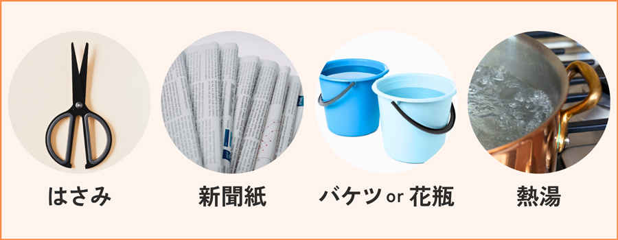 花の水揚げ前に必要な道具と事前準備