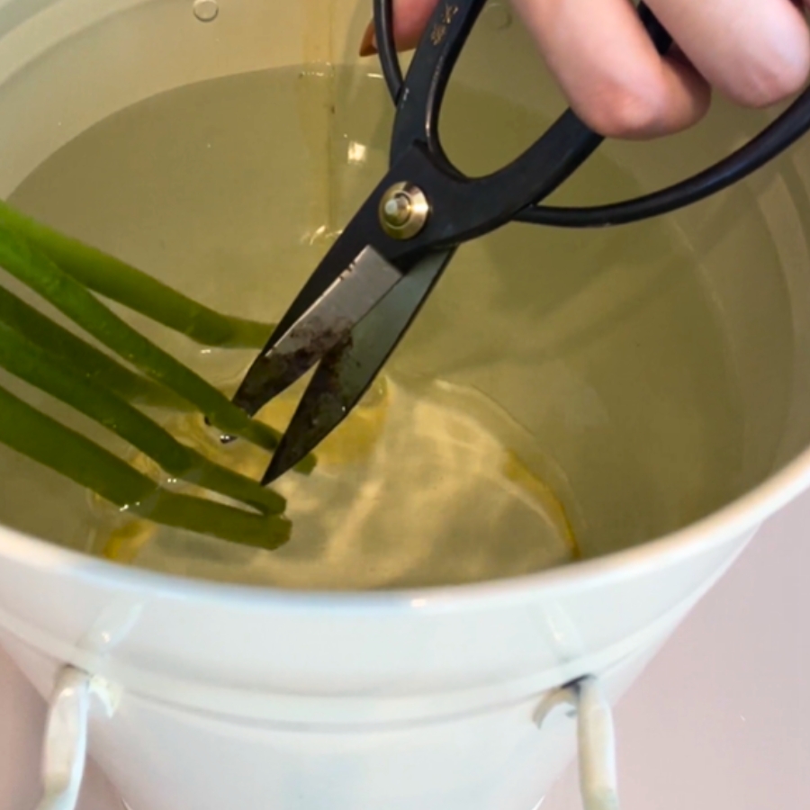 ①水切り｜水中で茎をカット