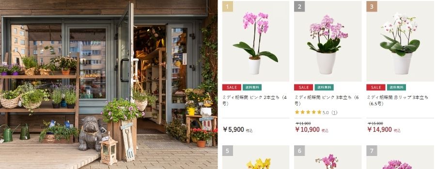 花屋と通販ショップどちらで買う?
