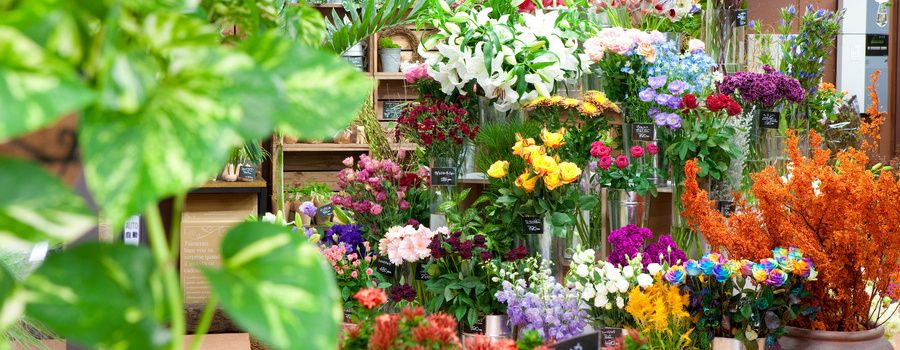 なぜ花屋は「ディスプレイ」で売上が変わるのか