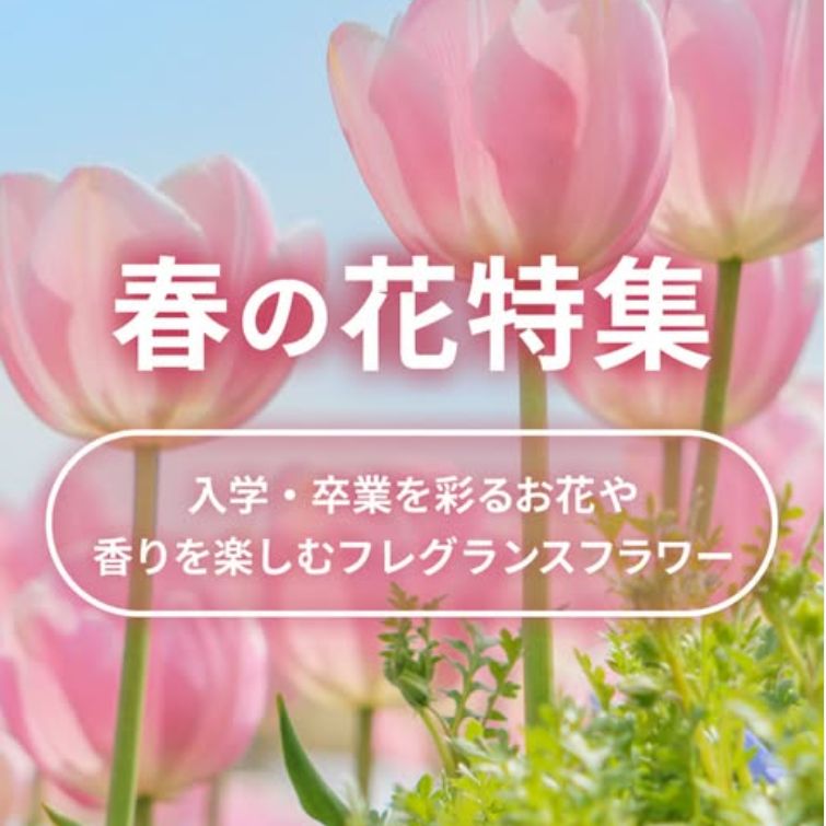 3月～4月上旬