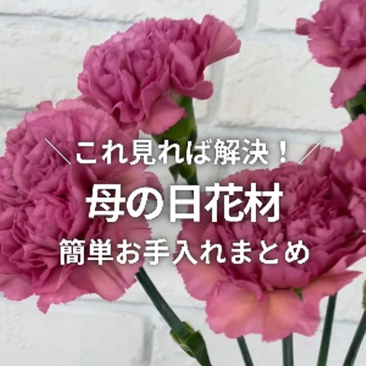 4月中旬～5月上旬