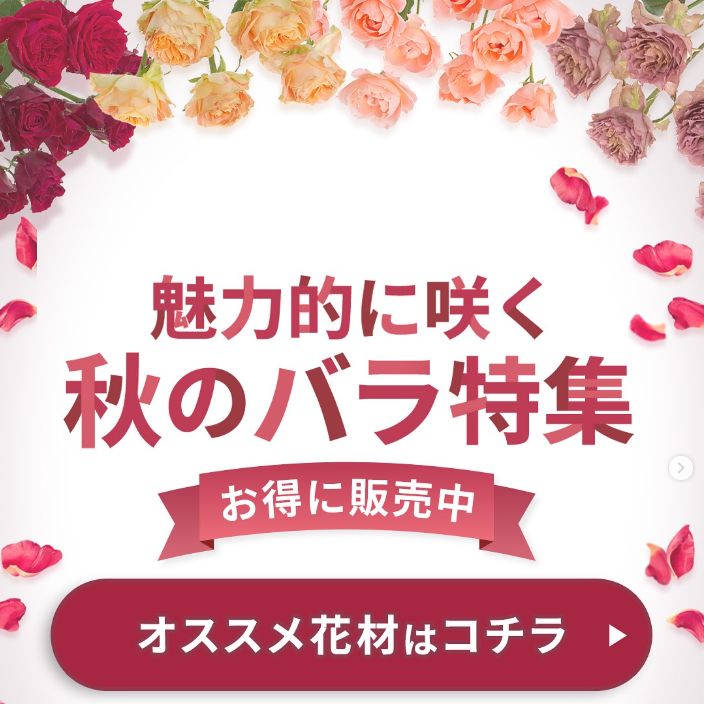 9月～10月