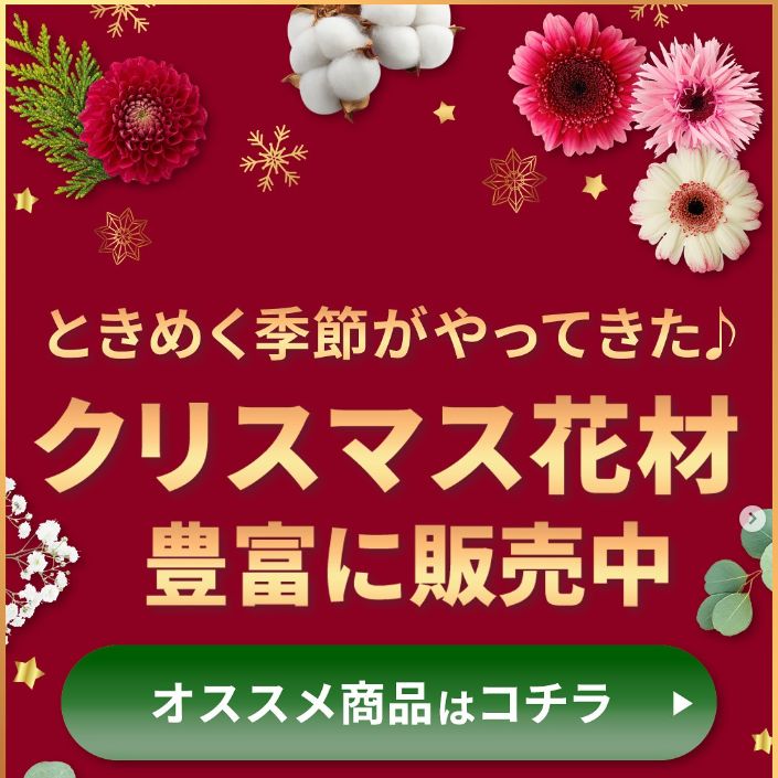 11月～12月