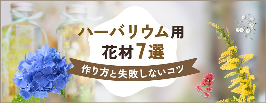 ハーバリウム用花材7選