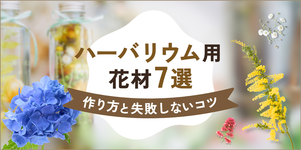 初心者向け】ハーバリウム用の人気花材7選｜作り方と失敗しないコツも